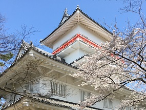 2021年の桜まつりの様子2