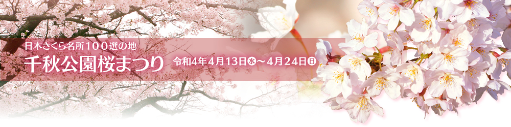千秋公園桜まつり　令和4年4月13日（水）～4月24日（日）