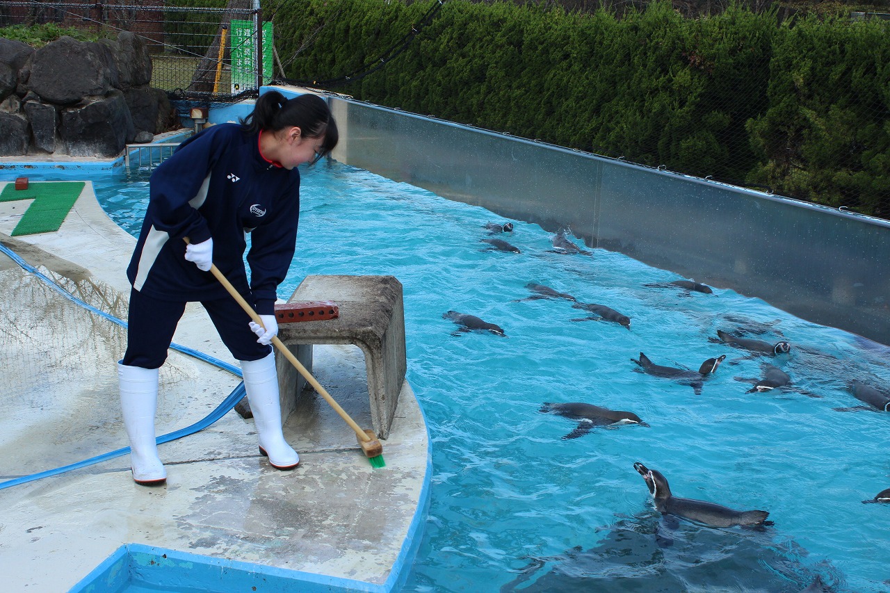 飼育体験もできる「大森山動物園」の画像